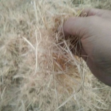 稻草秸秆大包小包粉碎长草3-5公分