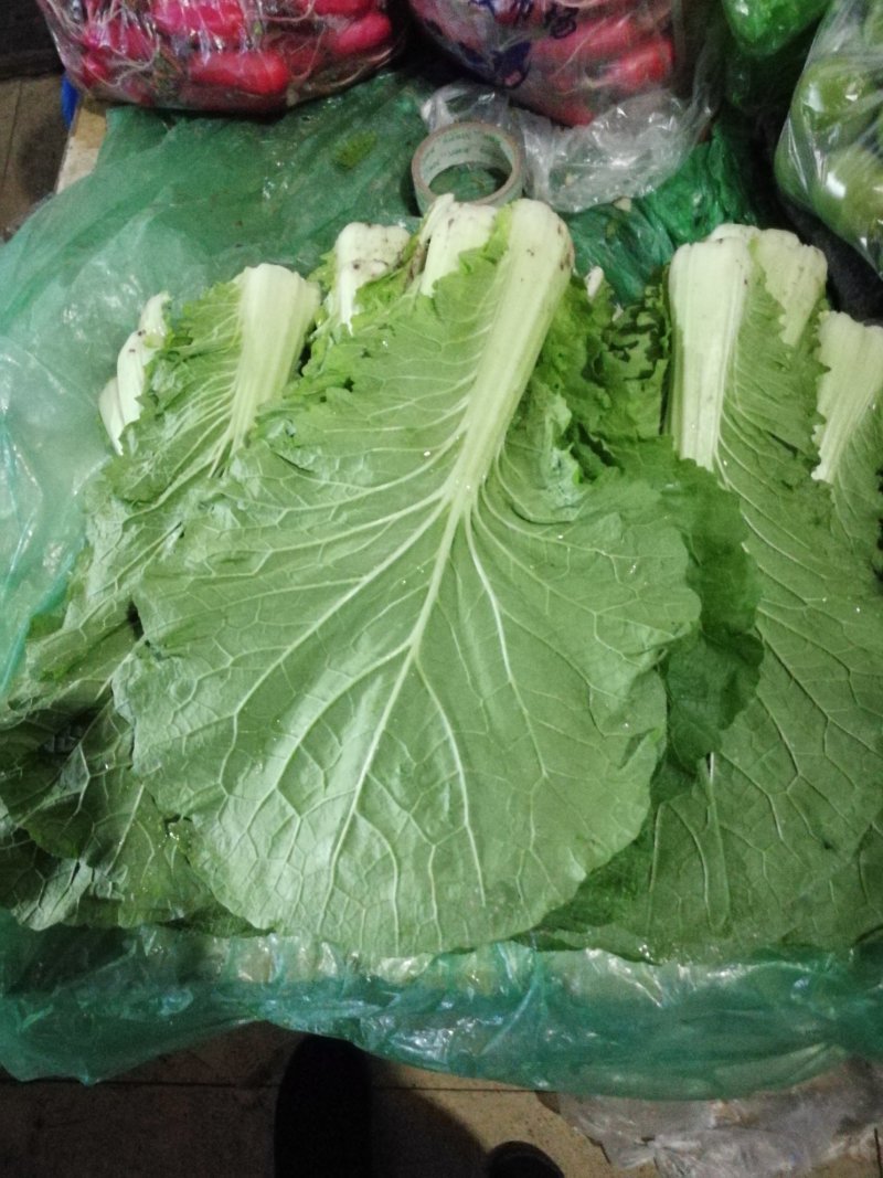 东北饭包白菜叶