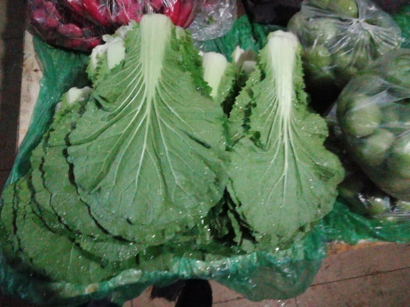 东北饭包白菜叶