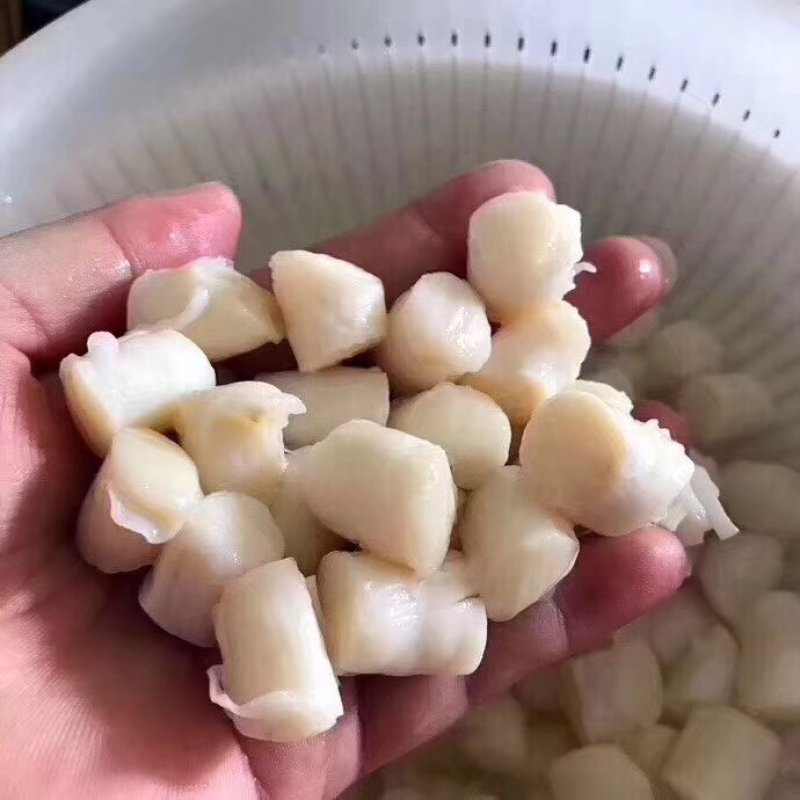 新鲜的扇贝