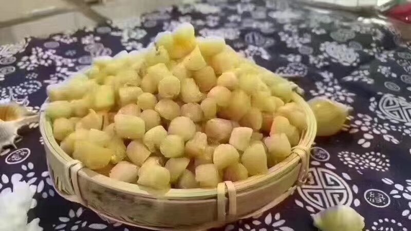 新鲜的扇贝