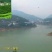 紫阳富硒茶