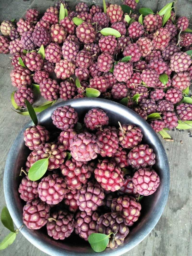 布福娜