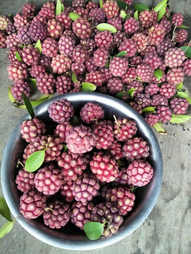 布福娜