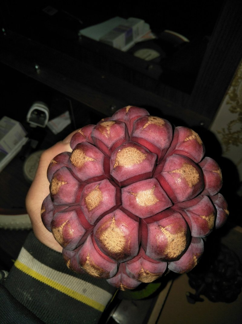 布福娜