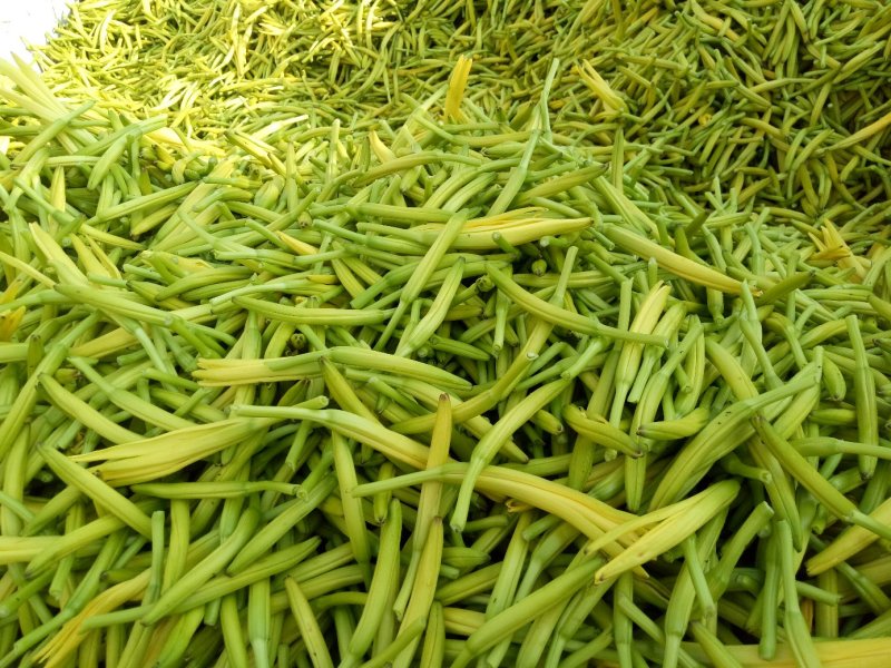 一件代发电商微黄花菜干货金针菜凉拌下饭火锅菜无硫直条庆阳