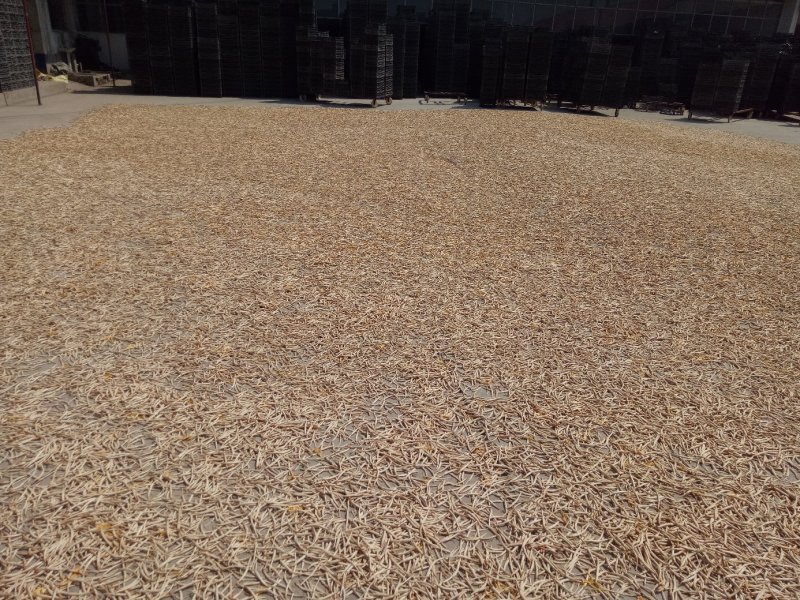 一件代发电商微黄花菜干货金针菜凉拌下饭火锅菜无硫直条庆阳