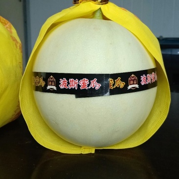 玉姑