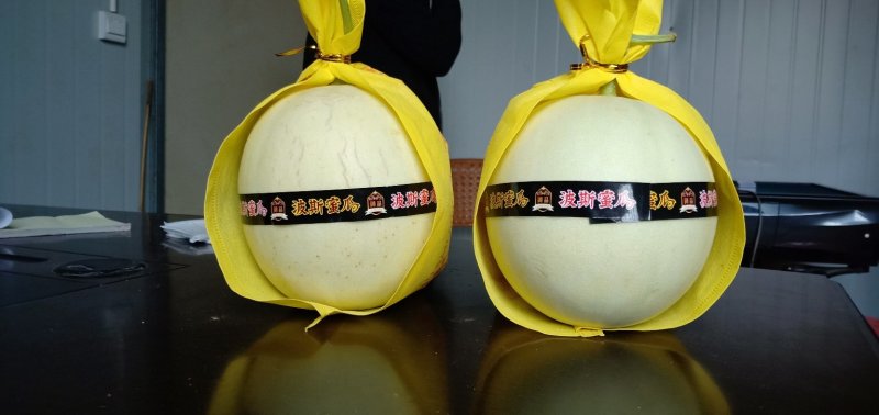 玉姑