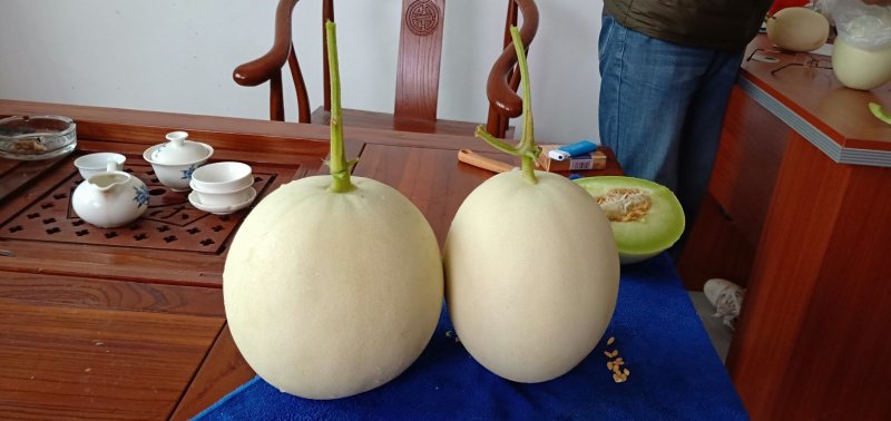 玉姑