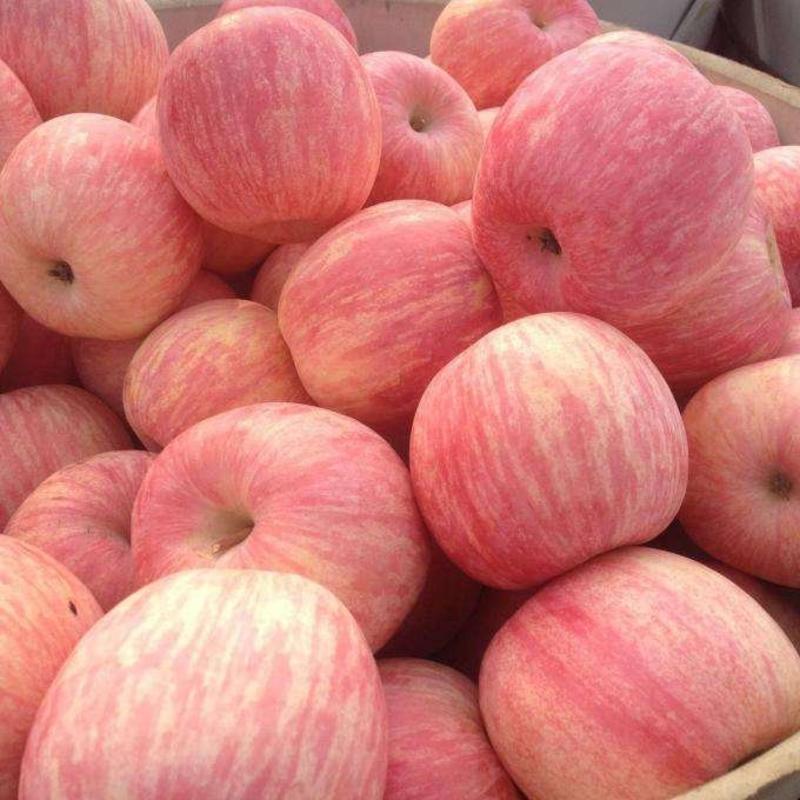红富士苹果山东苹果产地直销批发口感脆甜货源充足
