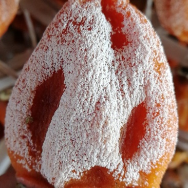 富平柿饼