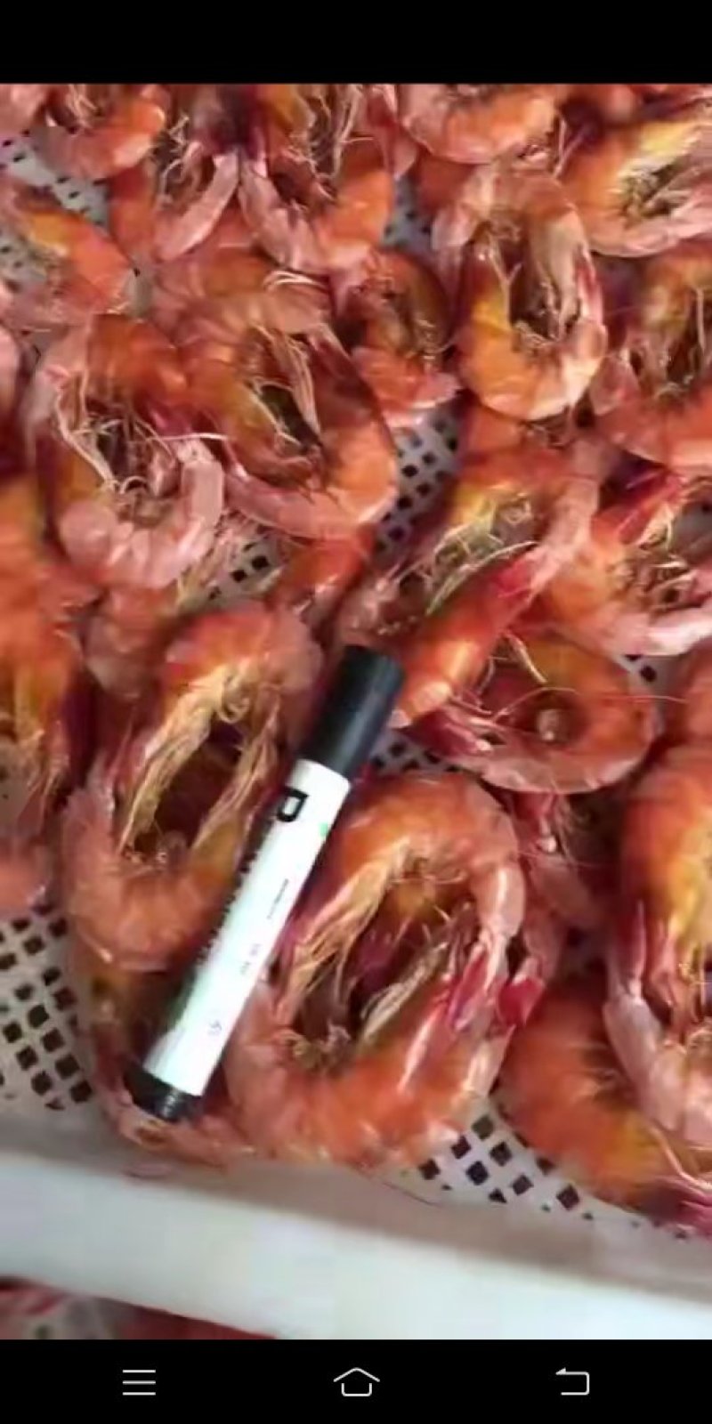 烤干虾，干对虾，特级
