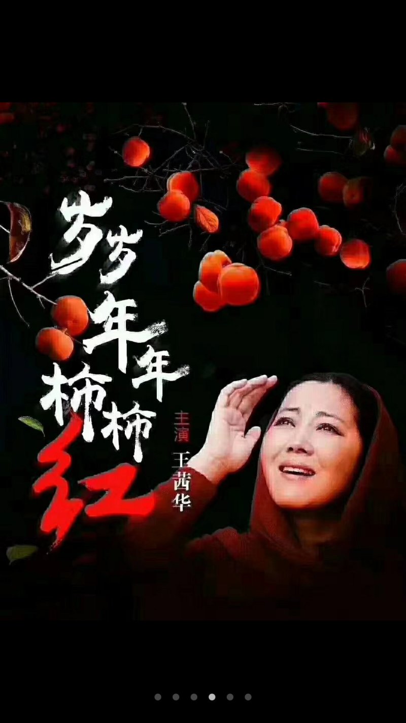 陕西富平降霜优质出口级柿饼大量批发零售