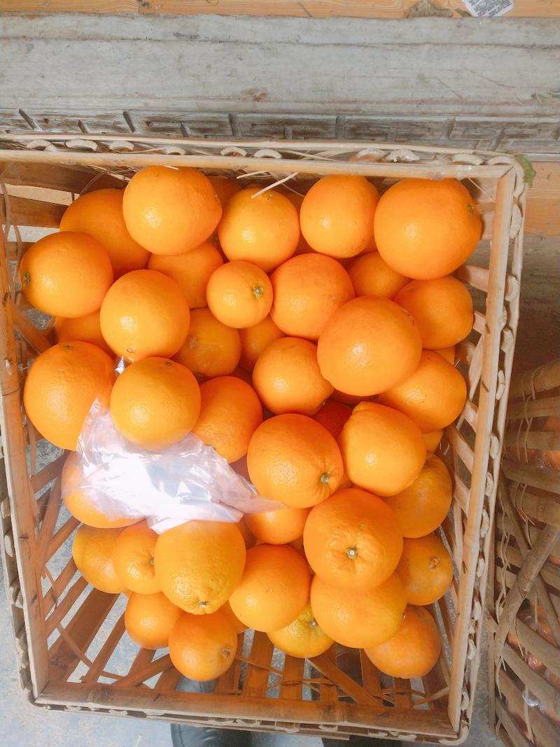 湖南纽荷尔脐橙，正宗纽荷尔，口感甜，易化渣【10斤装】