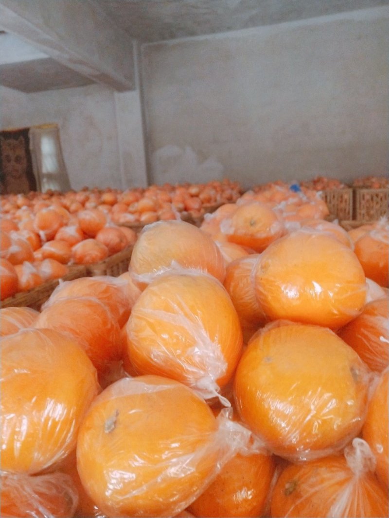 湖南纽荷尔脐橙，正宗纽荷尔，口感甜，易化渣【10斤装】