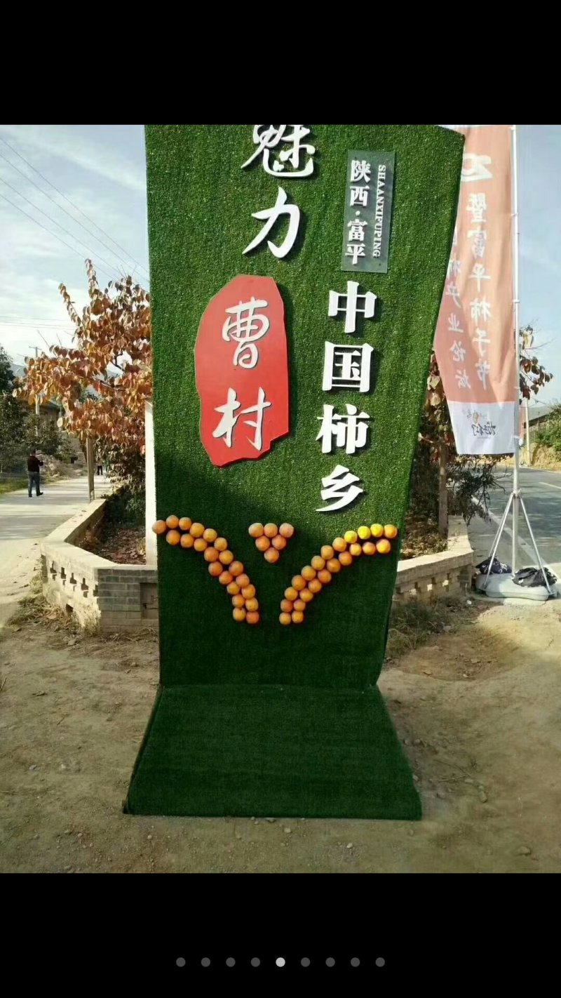 陕西富平降霜优质出口级柿饼大量批发零售