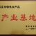 【热卖】平菇菌棒食用菌菌棒菌棒23X53高产抗病