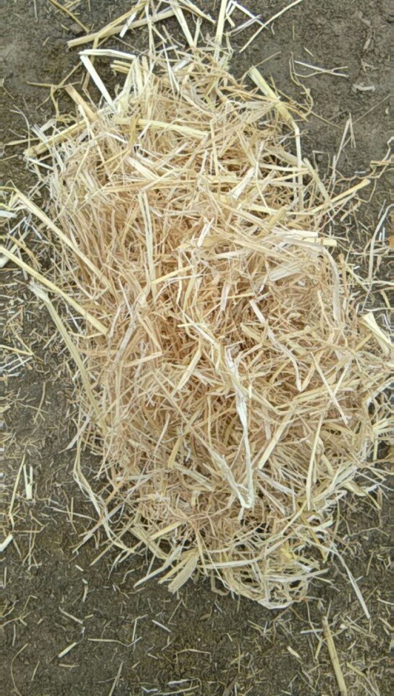 稻草秸秆柔丝粉碎稻草