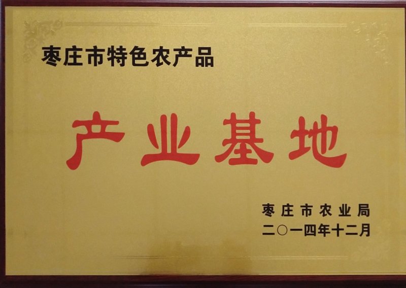 【平菇菌棒】到家划口既出菇高产抗病提供技术质优价廉