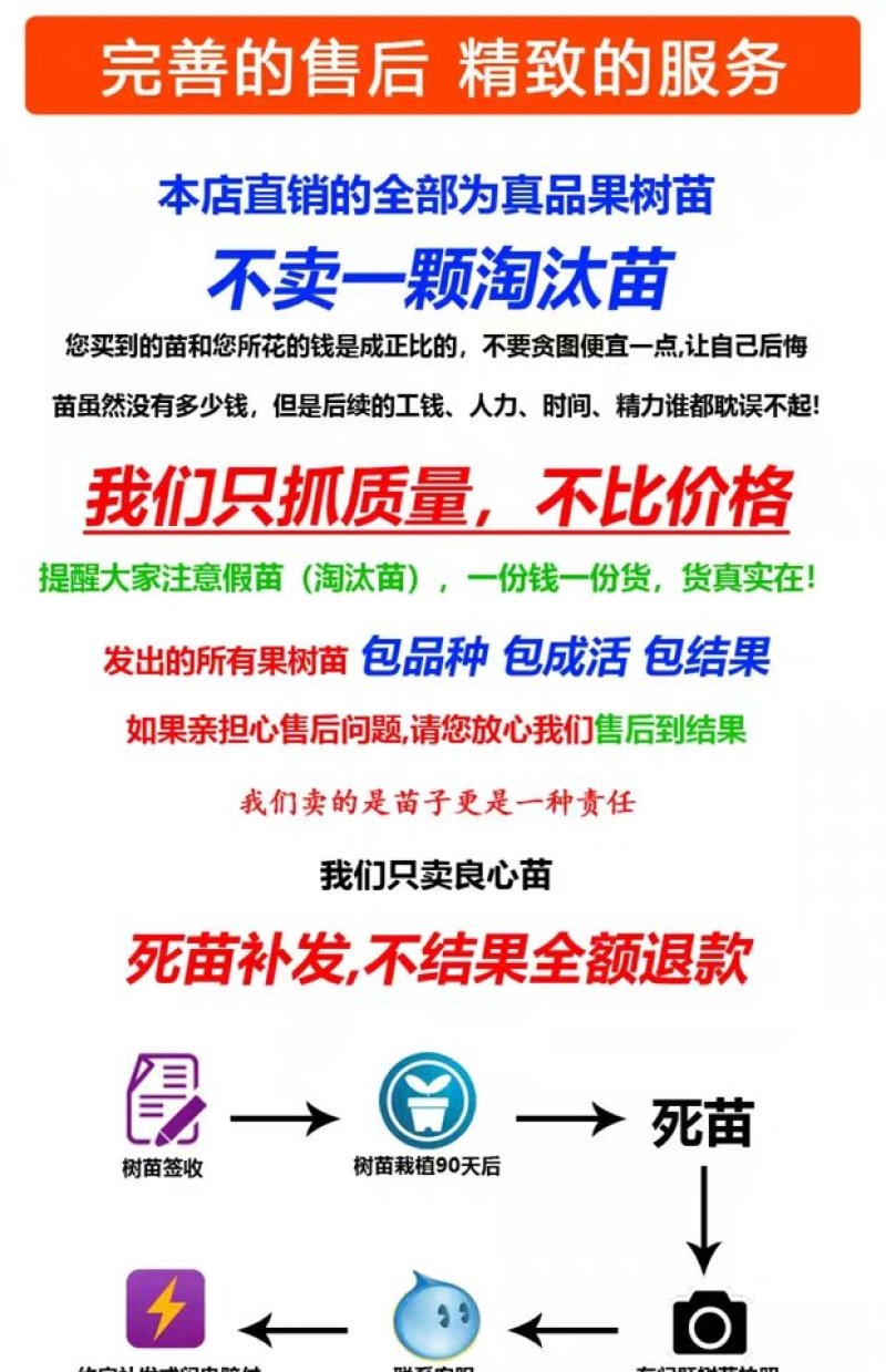 红色之爱，红肉苹果，颜色靓丽，口感独特，基地直供