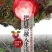红色之爱,红肉苹果,颜色靓丽,口感独特,基地直供