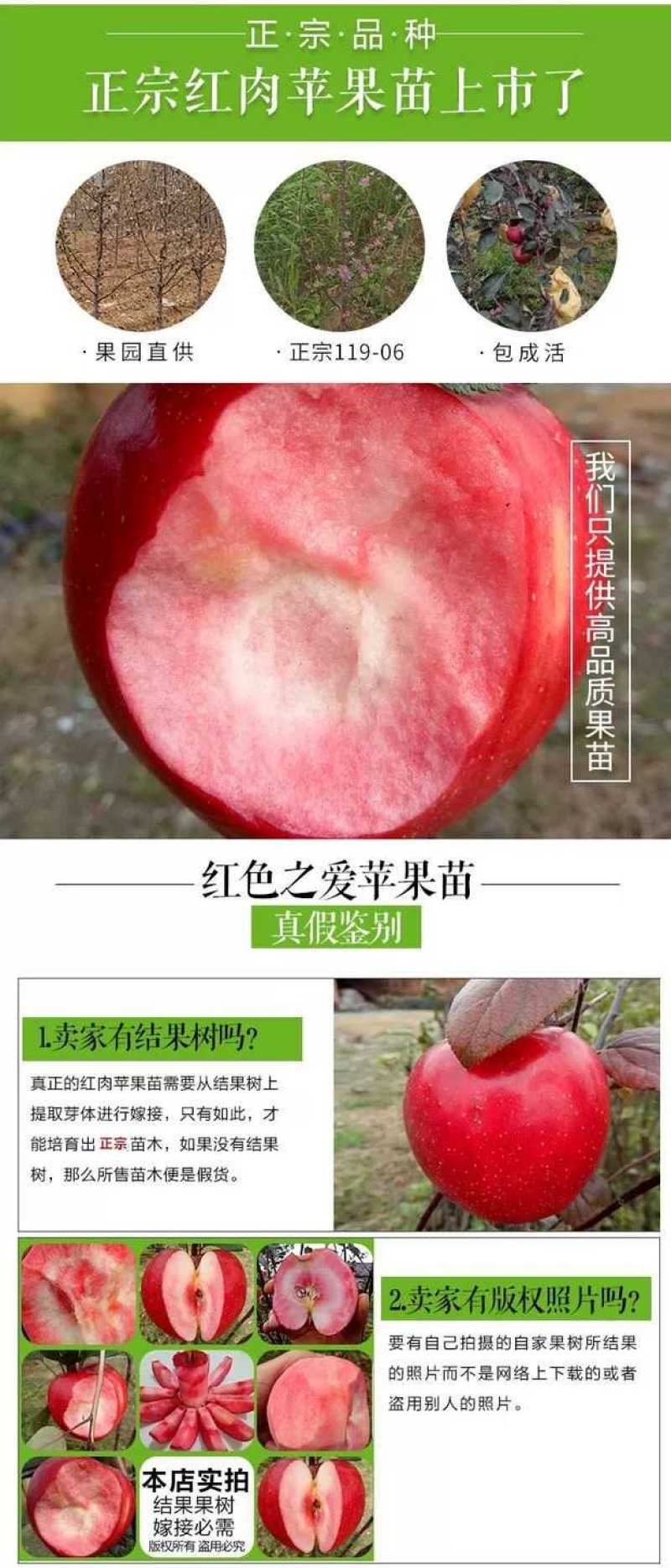 红色之爱，红肉苹果，颜色靓丽，口感独特，基地直供