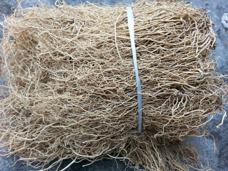三十六荡老君须双飞蝴蝶娃儿藤干货批发零售冷背中药