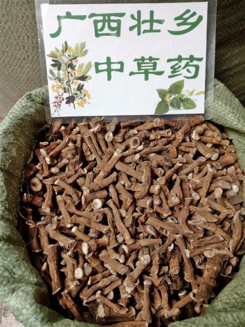 三白草根三白根塘边藕