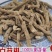 三白草根三白根塘边藕
