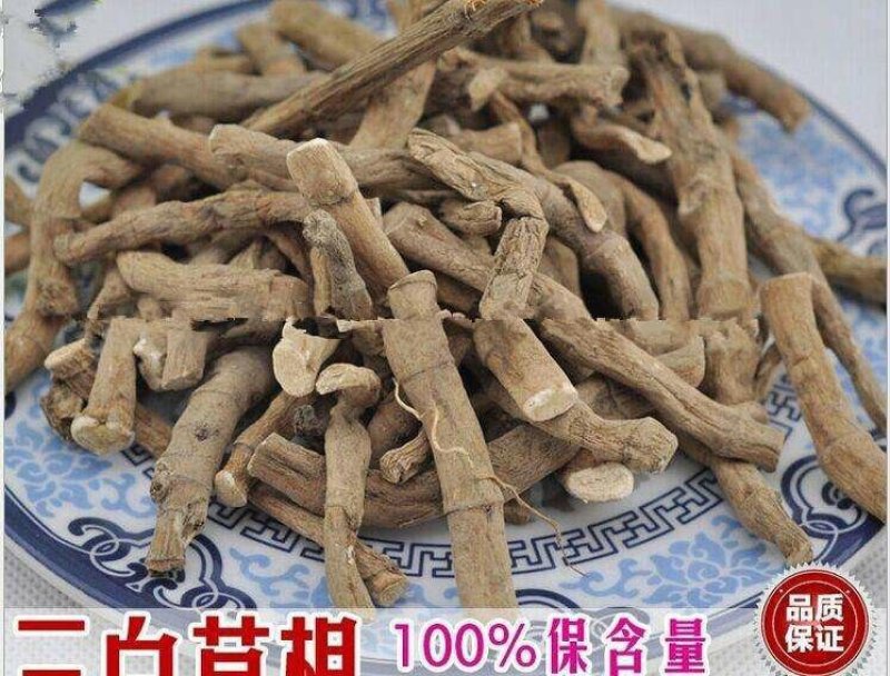 三白草根三白根塘边藕