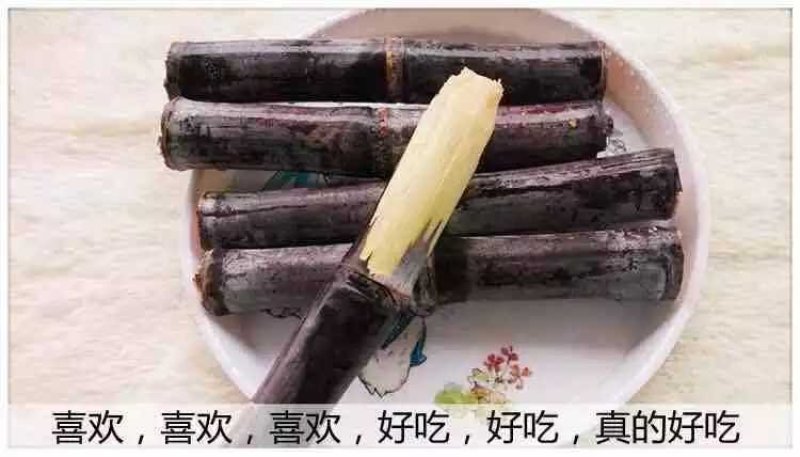 玉林黑皮甘蔗大量上市