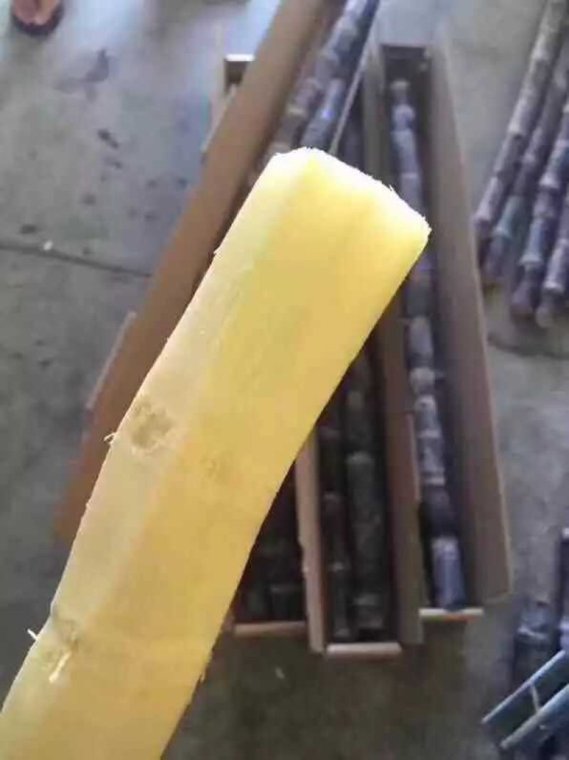 玉林黑皮甘蔗大量上市