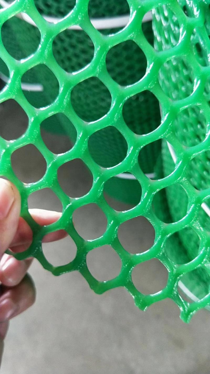 全新纯料育雏网塑料养殖网漏粪网，厂家直销