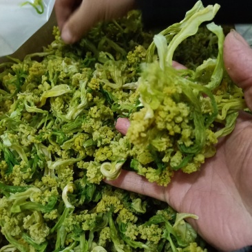花菜干，2022年现货，新货上市，脱水蔬菜，烘干花菜