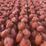 富平柿饼