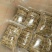 乌江药白菊(贡菊)(杭白菊)