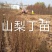 山梨丁苗，嫁接各种梨树苗用的砧木，耐寒性强，耐酸碱，根系