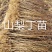 山梨丁苗，嫁接各种梨树苗用的砧木，耐寒性强，耐酸碱，根系
