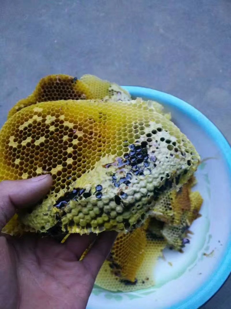 原生态野生蜂蜜