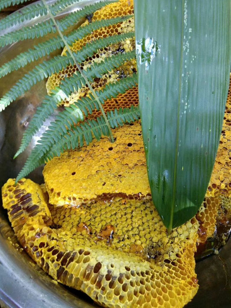 野生蜂蜜，