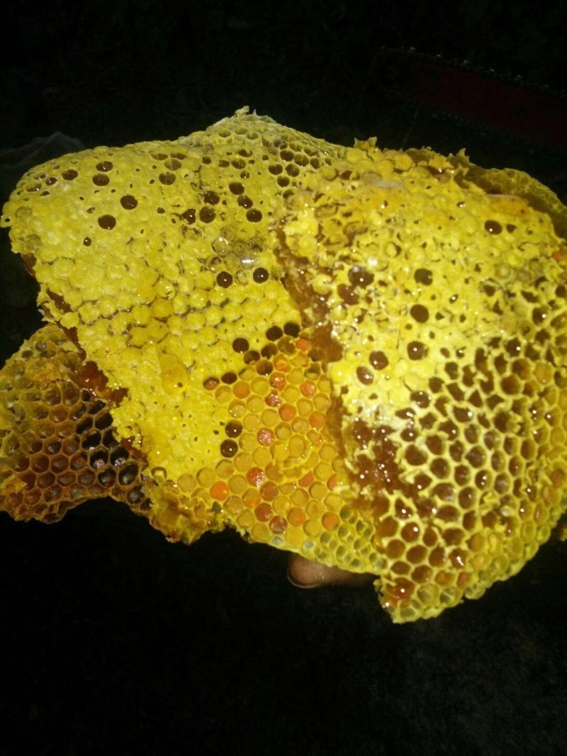 野生蜂蜜
