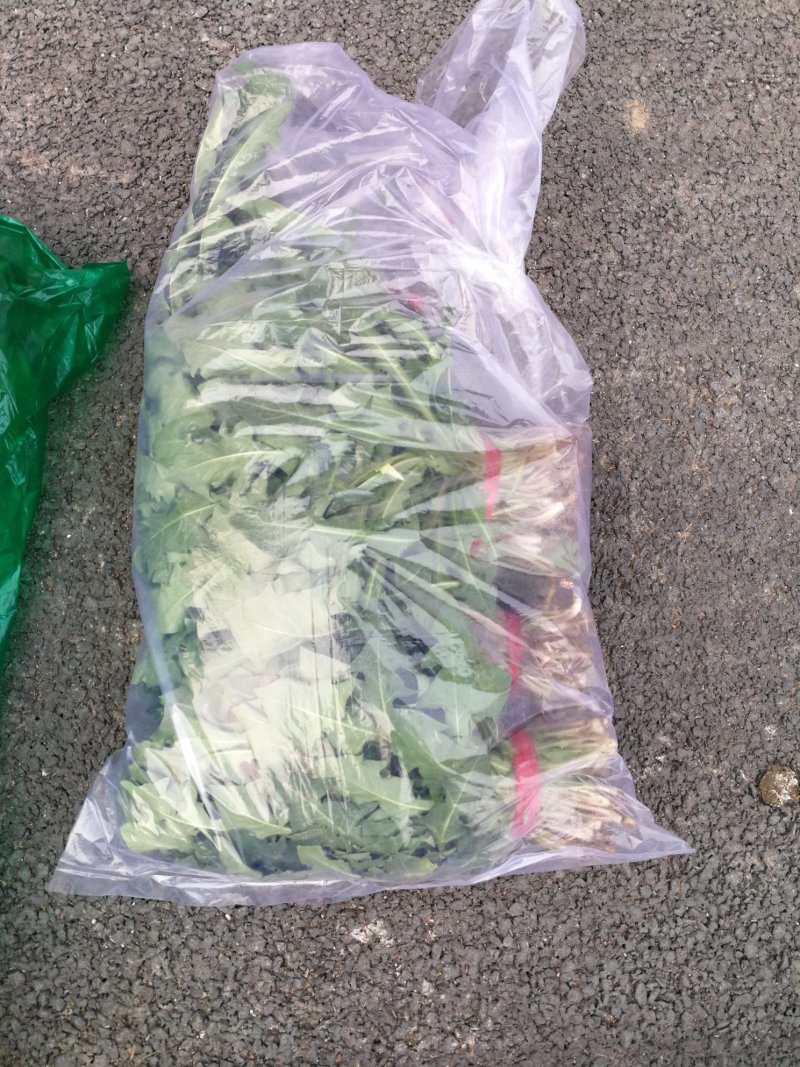 山野菜