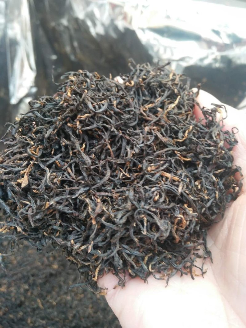 祁门红茶祁红毛峰祁红香螺按要求包装