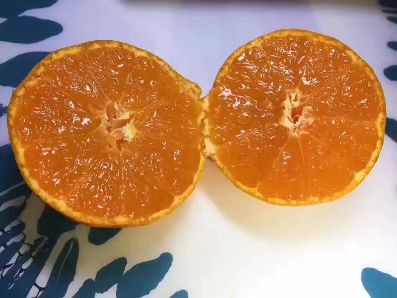 涌泉蜜桔精果