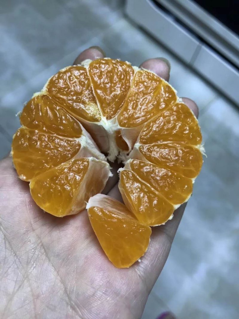 涌泉蜜桔精果