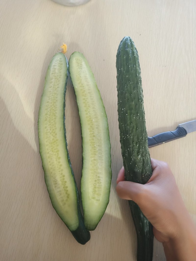 黄瓜，密刺黄瓜，刚刚上市的夏黄瓜，大棚黄瓜