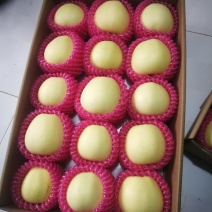 金帅苹果