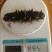 即食海参（无添加即食海参）