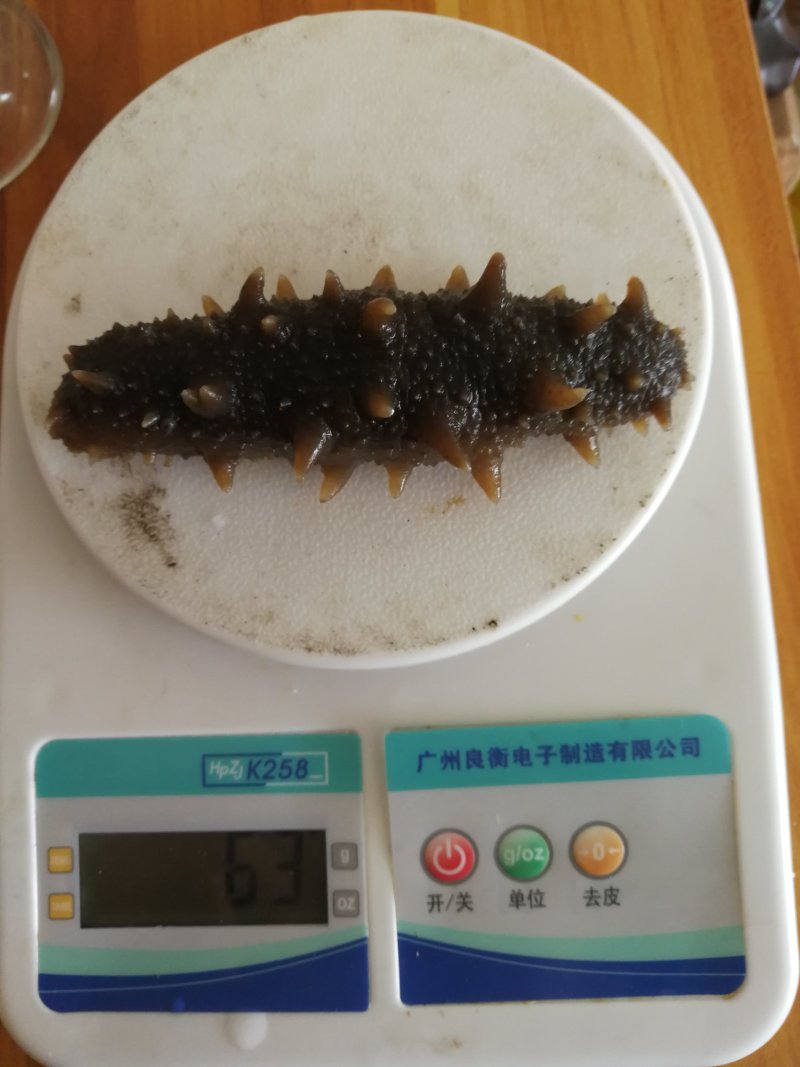 即食海参（无添加即食海参）